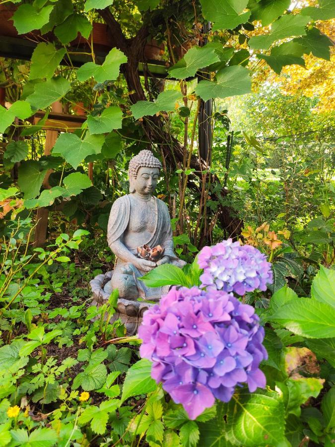 Modernes Zimmer Am Park Mit Garten, Huehner & Enten Munich Exterior photo